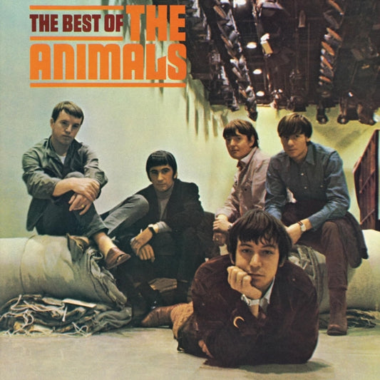 Best Of The Animals & Animals & Animalization