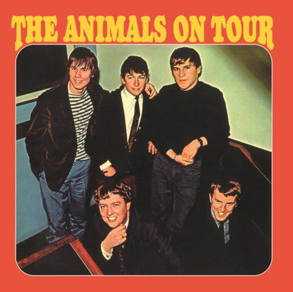 Best Of The Animals & Animals On Tour