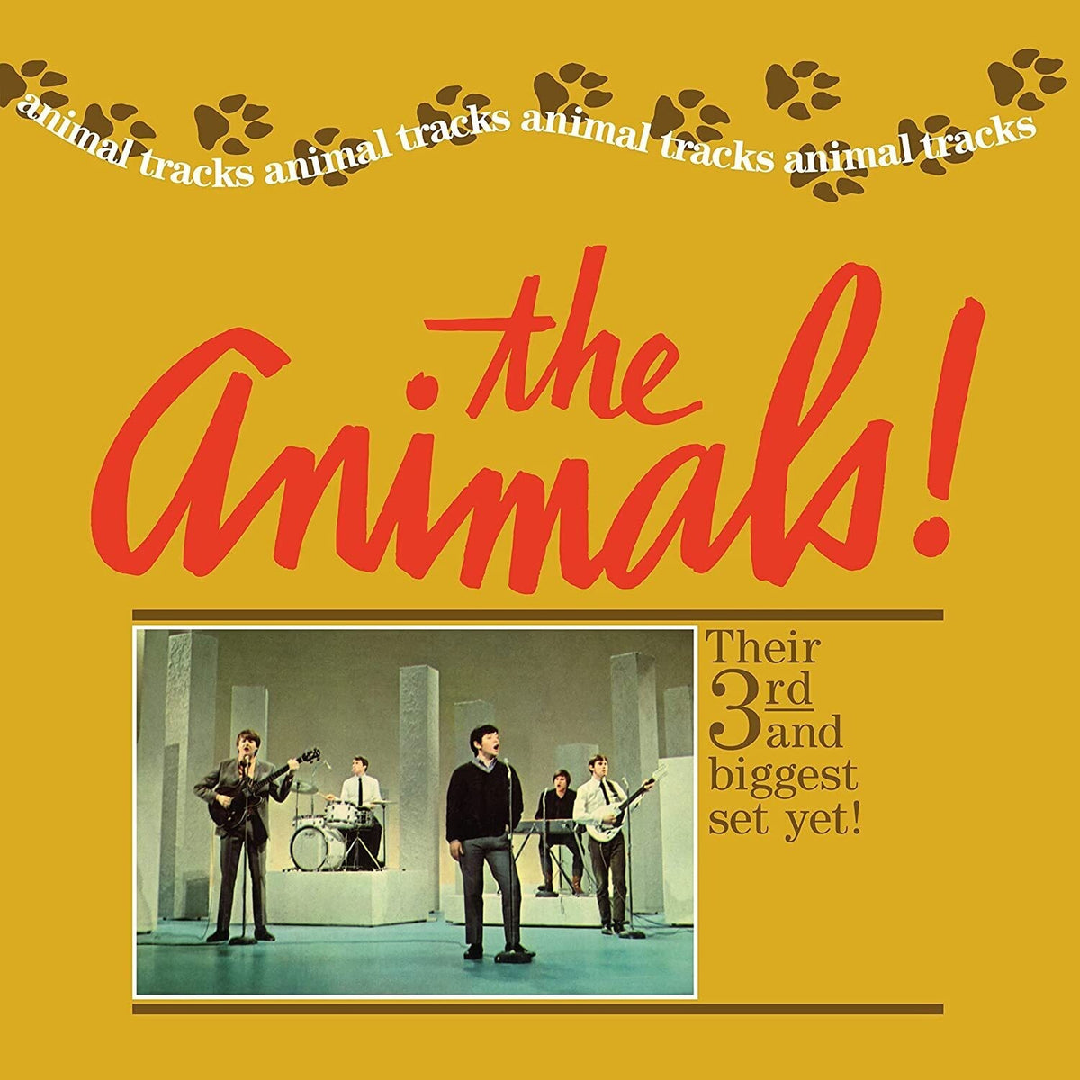 Animal Tracks & Animalization