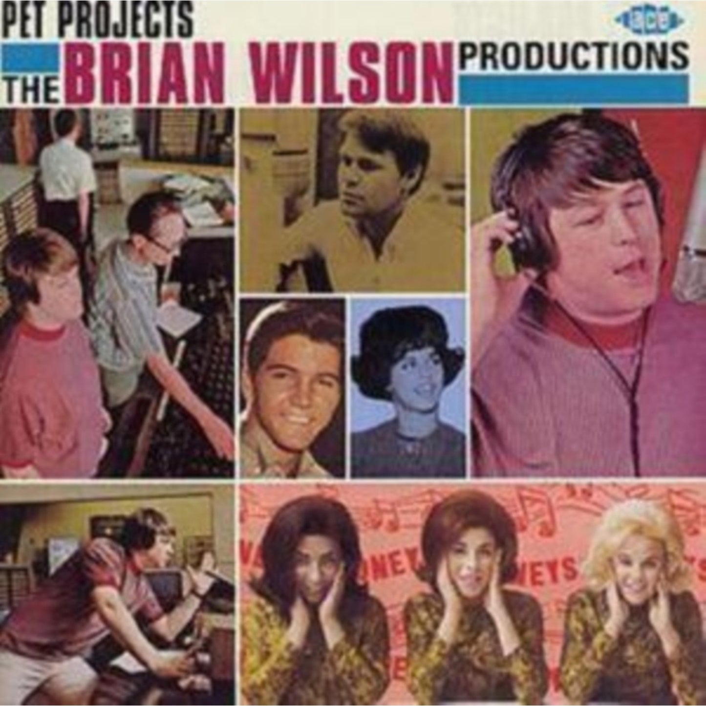 Pet Projects: Brian Wilson Productions / Various