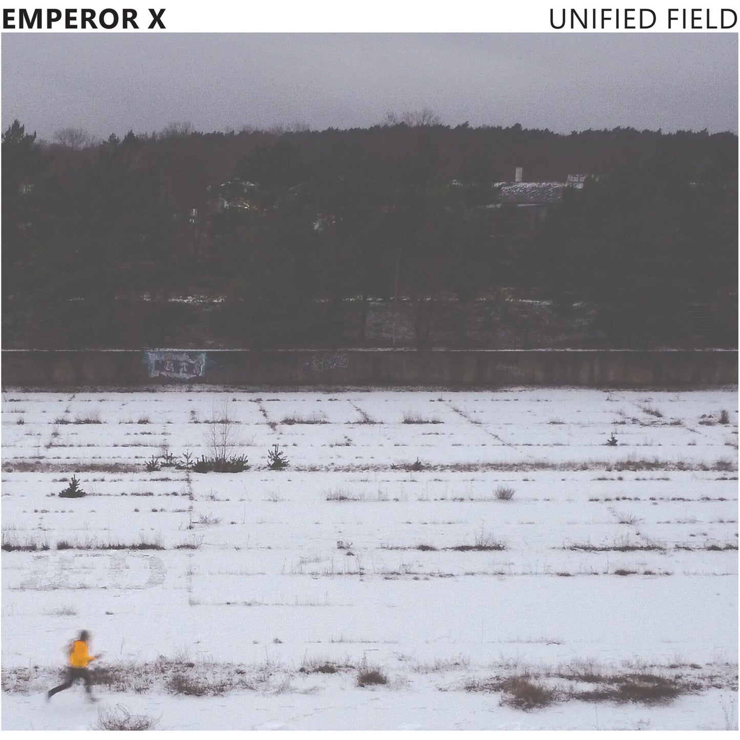 Unified Field