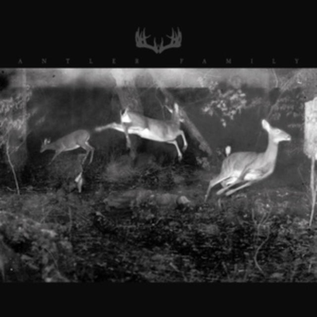 This LP Vinyl is brand new.Format: LP VinylThis item's title is: Antler FamilyArtist: Antler FamilyBarcode: 038161004810Release Date: 1/26/2024