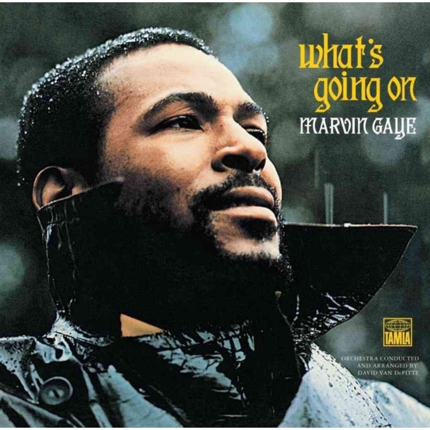 Very Best Of Marvin Gaye & Let's Get It On & What's Going On