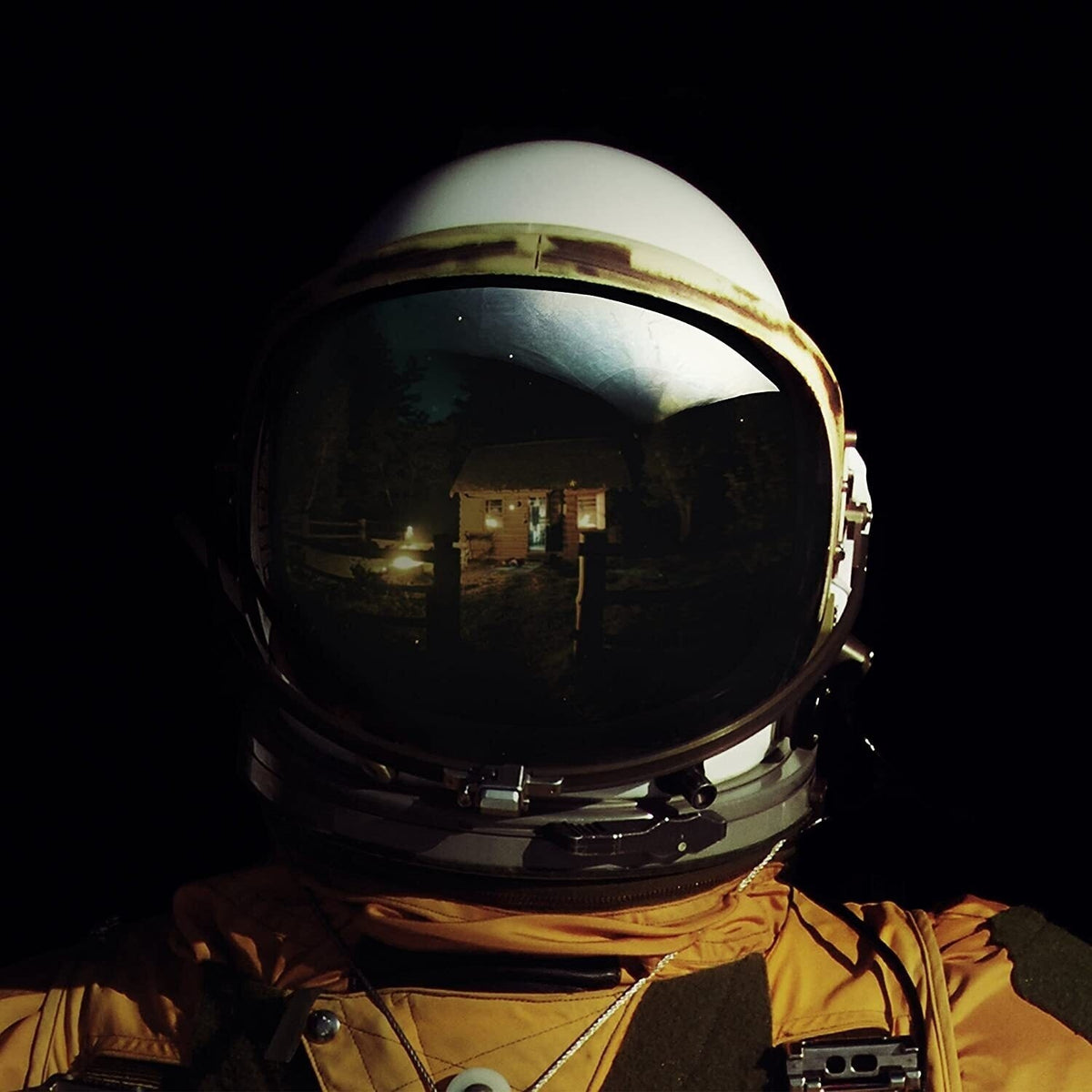 Coming Home (Gold Nugget LP Vinyl) (Import)