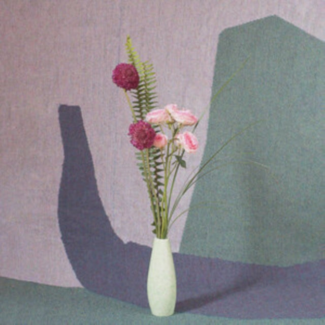 This LP Vinyl is brand new.Format: LP VinylMusic Style: AmbientThis item's title is: Ambient Ensemble (Parlor Green LP Vinyl)Artist: Nick SchofieldLabel: Backward MusicBarcode: 061297941827Release Date: 3/29/2024
