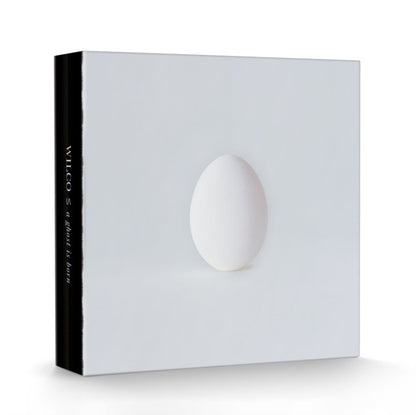 Ghost Is Born (Deluxe/9LP/4CD Box Set) & Yankee Hotel Foxtrot (Super Deluxe/7LP)