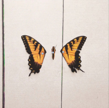 This Is Why & All We Know Is Falling (Silver LP Vinyl) & Riot! (Fbr 25Th Anniversary Edtion/Silver LP Vinyl) & After Laughter (Black & White Marble LP Vinyl/Dl Card) (I) & All We Know Is Falling & Brand New Eyes
