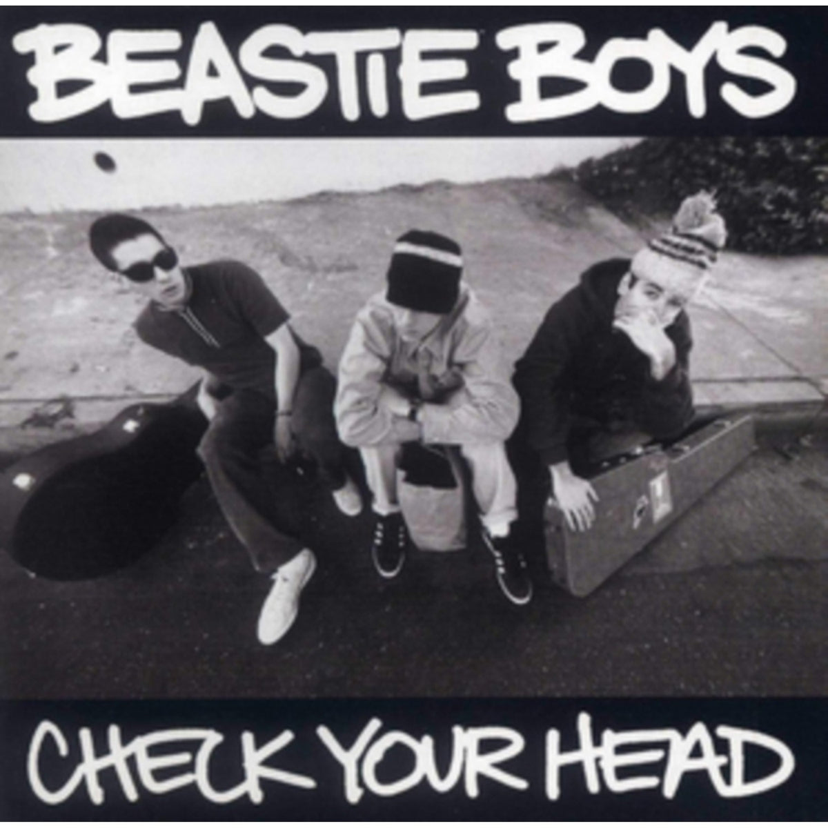 Check Your Head & Licensed To Ill