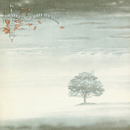 We Can't Dance (1991) (2LP) & Invisible Touch (1986) & Genesis (1983) & Trick Of The Tail & Wind & Wuthering & Turn It On Again: The Hits (2LP) & Foxtrot
