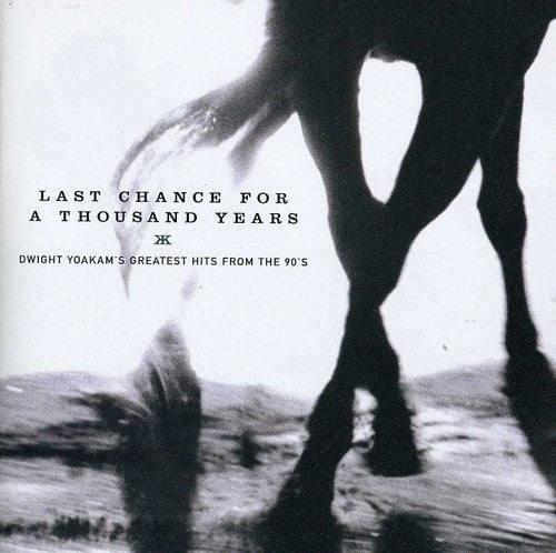 Last Chance For A Thousand Years: Greatest Hits