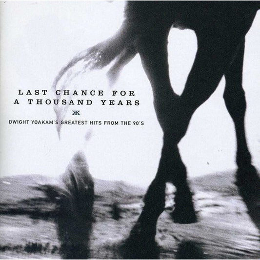 Last Chance For A Thousand Years: Greatest Hits