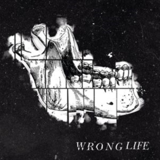 This LP Vinyl is brand new.Format: LP VinylMusic Style: Hardcore Hip-HopThis item's title is: Wrong LifeArtist: Wrong LifeLabel: RAD GIRLFRIEND RECORBarcode: 082056012343Release Date: 6/9/2023