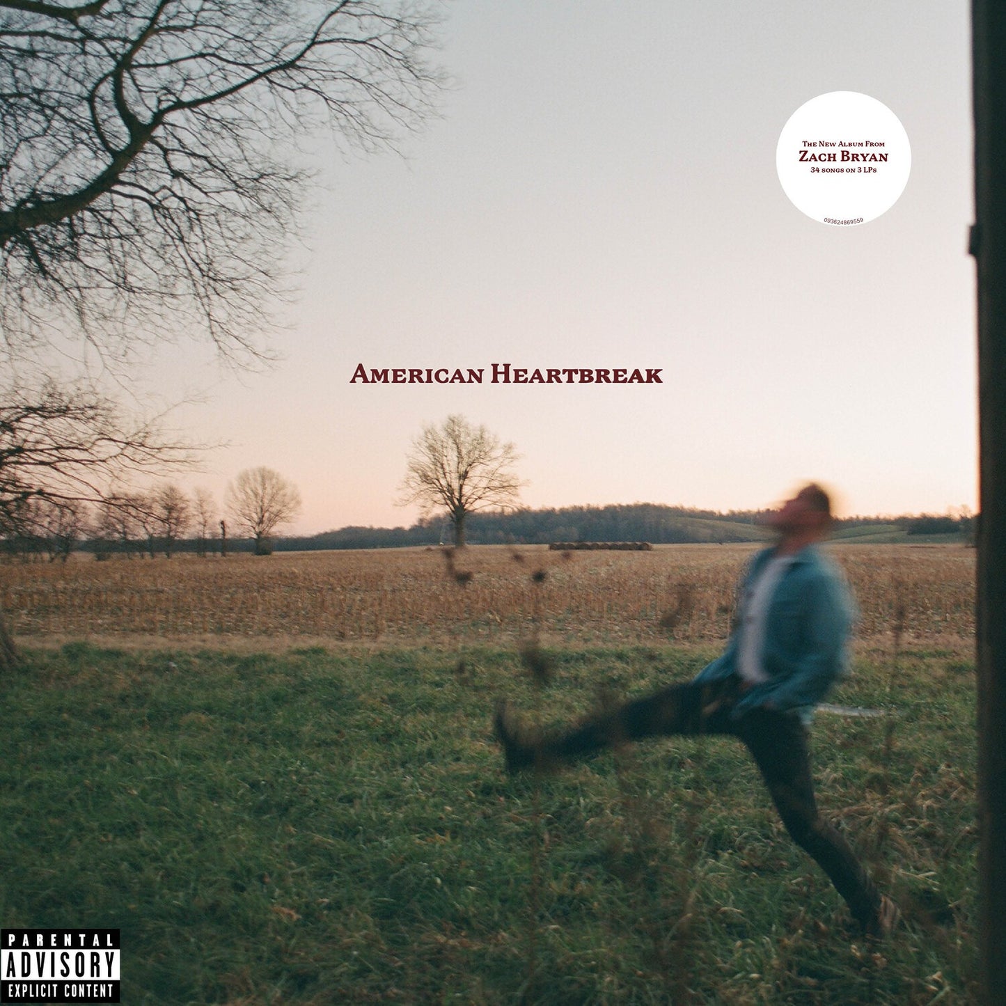 Great American Bar Scene & American Heartbreak