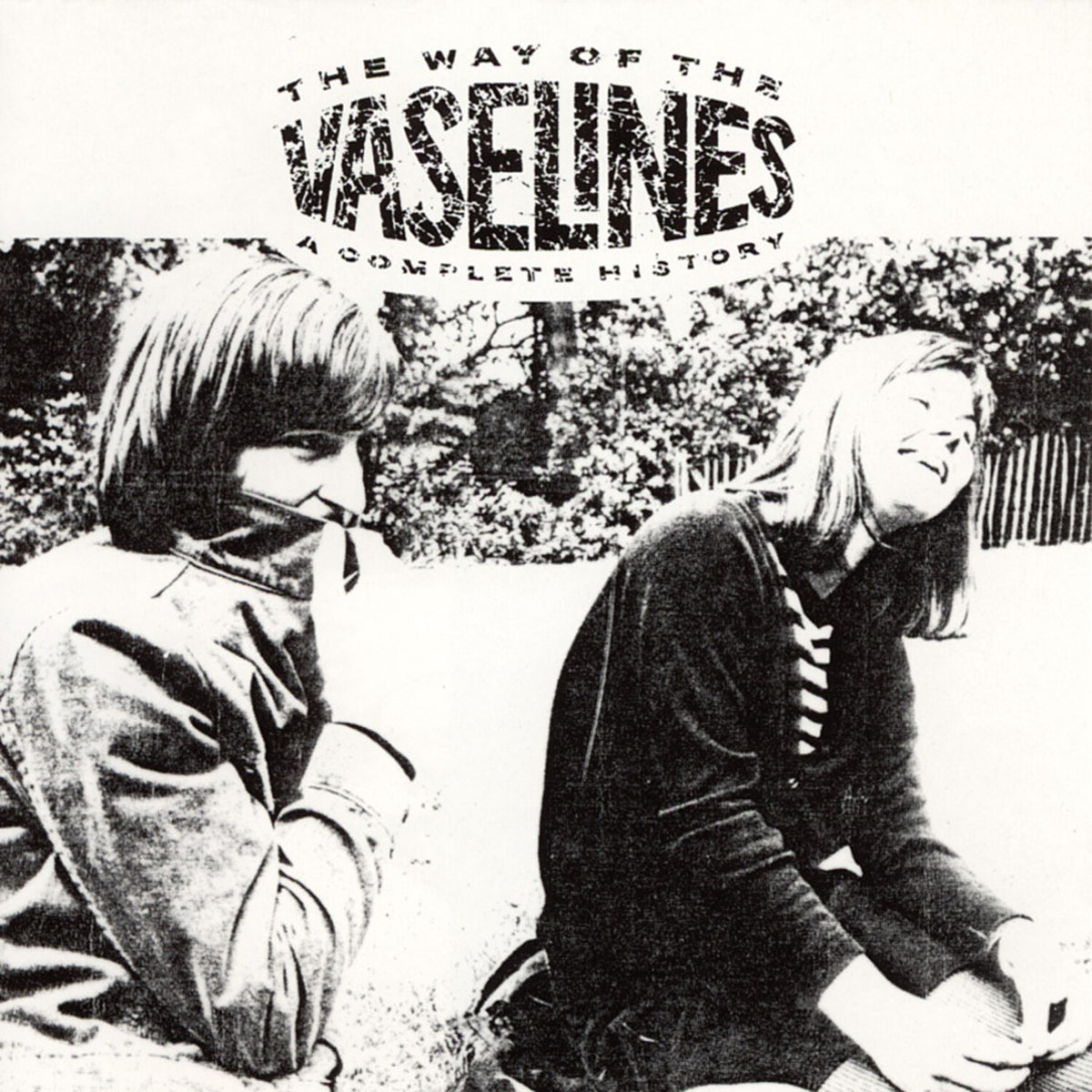 Way Of The Vaselines (2LP)