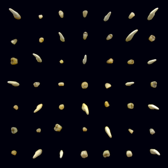 This LP Vinyl is brand new.Format: LP VinylMusic Style: HorrorcoreThis item's title is: Visions Of Bodies Being BurnedArtist: Clipping.Label: SUB POP RECORDSBarcode: 098787133110Release Date: 10/23/2020