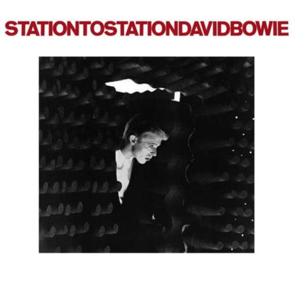 Station To Station (2016 Remastered Version) & Station To Station (2016 Remaster) & Pinups (2015 Remaster) & Live In Rio (Limited Edition/Red/White Splatter LP Vinyl) & Rise & Fall Of Ziggy Stardust (2012 Remaster) & Hunky Dory
