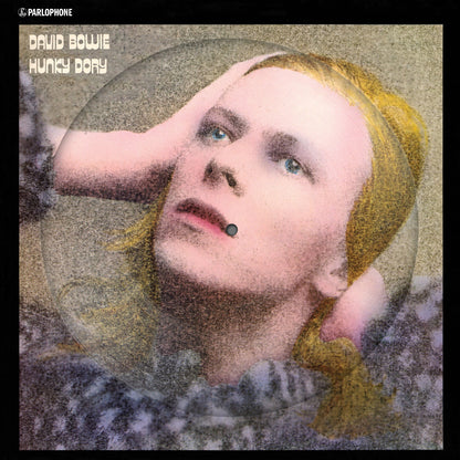 David Bowie - Earthling (2021 Remaster/2LP) & Low (2017 Remaster) & Station To Station (2016 Remastered Version) & Changesonebowie (180G) & Hunky Dory (2015 Remaster/50Th Anniv/Picture Disc) & Live Los Angeles 1974 (White LP Vinyl/Limited) & Ziggy