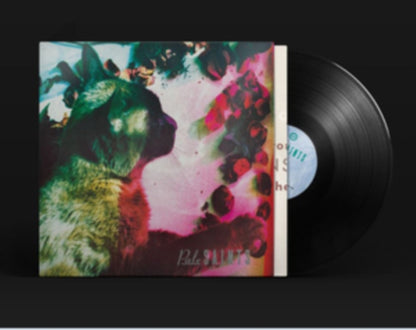This is a 2 LP Vinyl SKU bundle.
1.This LP Vinyl is brand new.Format: LP VinylMusic Style: Indie RockThis item's title is: Comforts Of Madness (30Th Anniversary Reissue)Artist: Pale SaintsLabel: 4ADBarcode: 191400015913Release Date: 1/17/2020
2.This LP Vinyl is brand new.