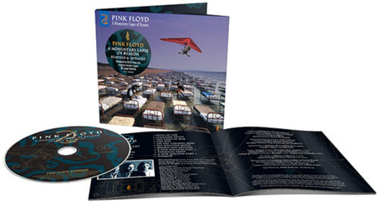 Momentary Lapse Of Reason (Remixed & Updated)