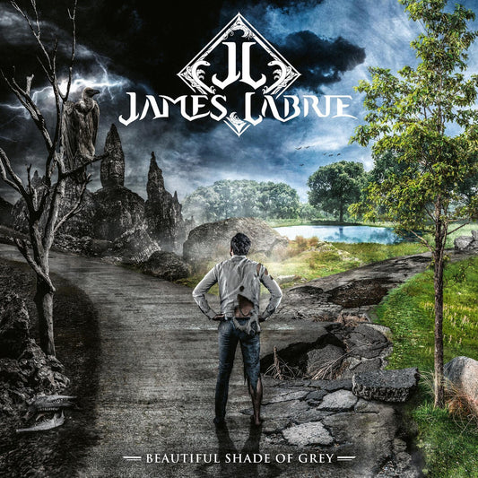 Beautiful Shade Of Grey (LP/CD)