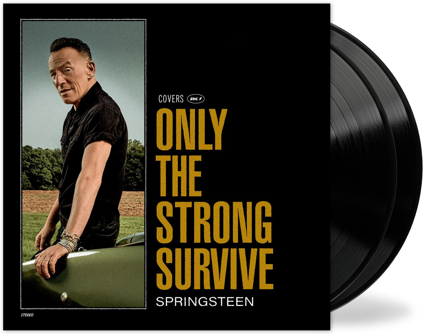 Letter To You (2LP/140G) & Only The Strong Survive (2LP/140G/D-Side Etching)