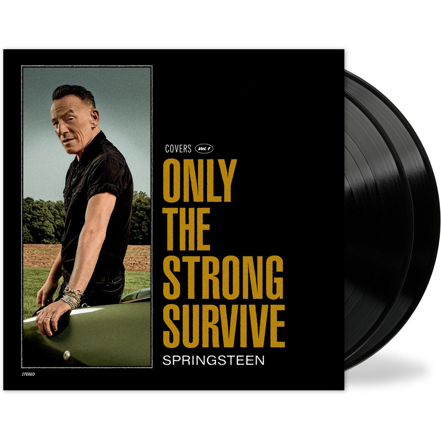 Only The Strong Survive (2LP/140G/D-Side Etching) & We Shall Overcome: Seeger Sessions (2LP/180G) & Born To Run (180G/Gatefold)