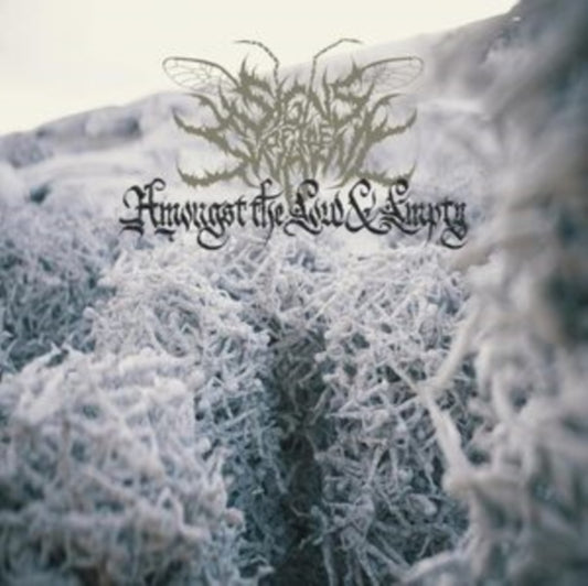 This LP Vinyl is brand new.Format: LP VinylThis item's title is: Amongst The Low & Empty (Gatefold Aqua LP Vinyl)Artist: Signs Of The SwarmBarcode: 196588135415Release Date: 7/28/2023