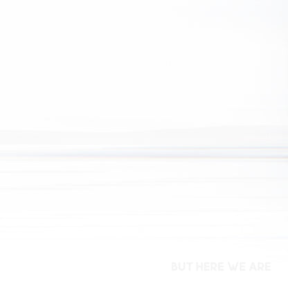 Medicine At Midnight (140G) & But Here We Are & Colour & The Shape (2LP/Dl Card)