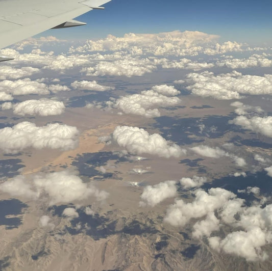 This LP Vinyl is brand new.Format: LP VinylThis item's title is: 2Nd DraftArtist: Celia HollanderBarcode: 196922693533Release Date: 1/12/2024