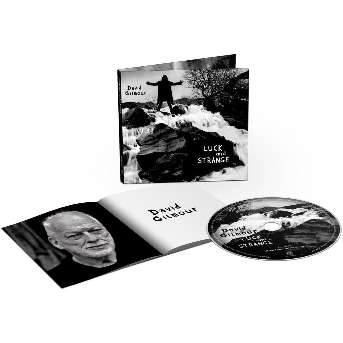 Luck & Strange & David Gilmour & About Face