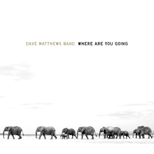 Where Are You Going: The Singles (2LP)