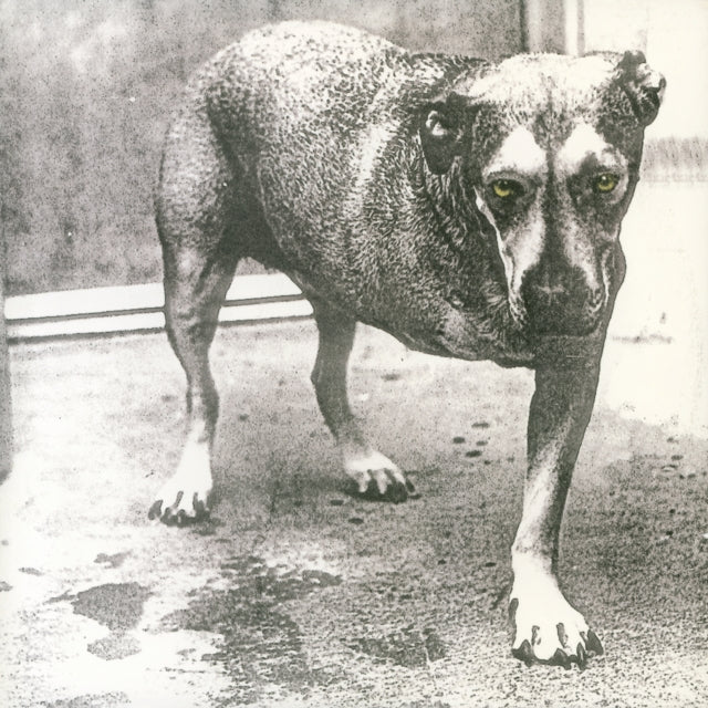 Facelift (2LP) & Dirt (2LP) & Alice In Chains (2LP/Yellow Neon Vinyl)