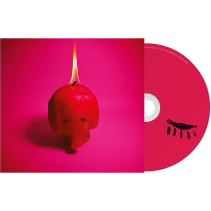 Pink Elephant & Neon Bible & Suburbs