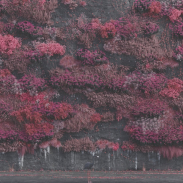 Even In Arcadia (2LP)