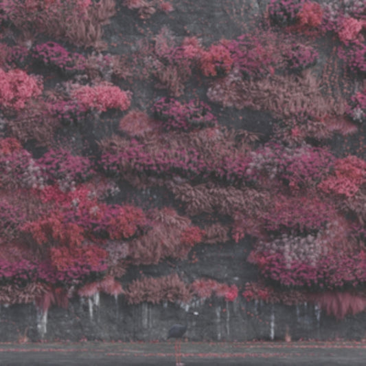 Even In Arcadia (2LP)