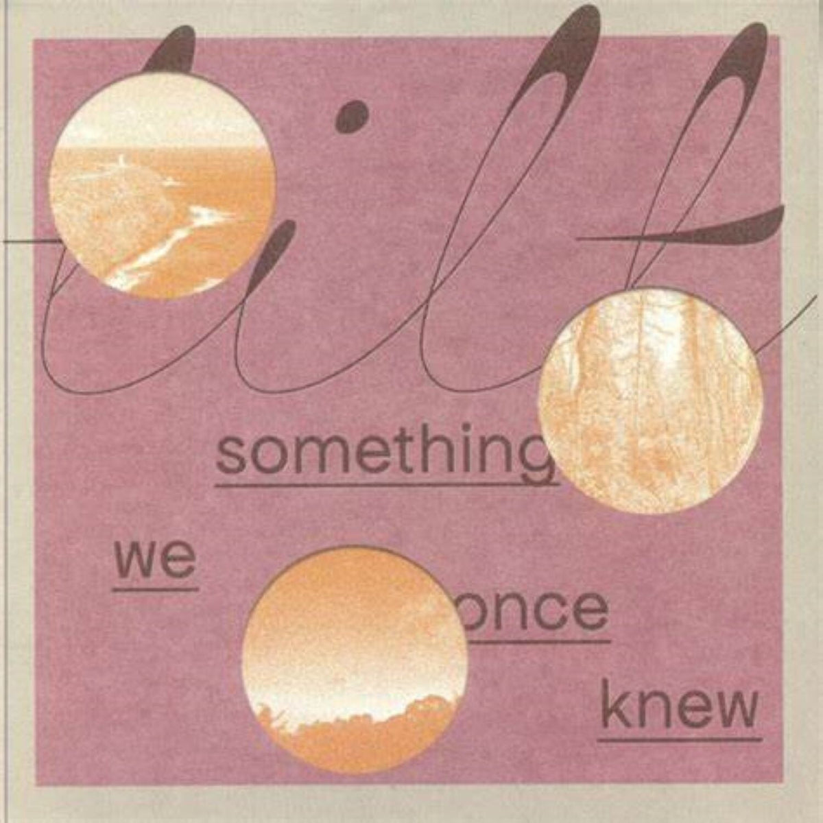 Something We Once Knew