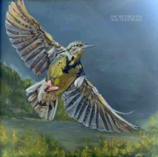 This LP Vinyl is brand new.Format: LP VinylThis item's title is: Dear MeadowlarkArtist: WildwoodsBarcode: 199257506066Release Date: 8/1/2025