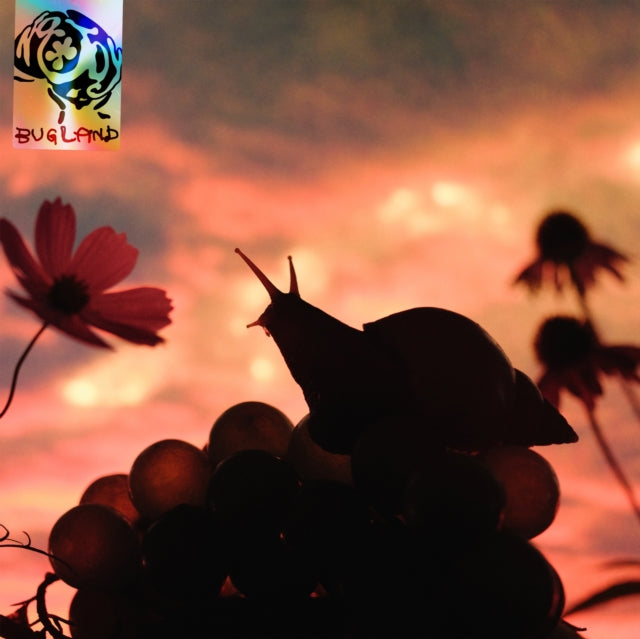 This LP Vinyl is brand new.Format: LP VinylMusic Style: Psychedelic RockThis item's title is: Bugland (Chrysalis Blue LP Vinyl)Artist: No JoyLabel: Hand Drawn DraculaBarcode: 199350413223Release Date: 8/8/2025