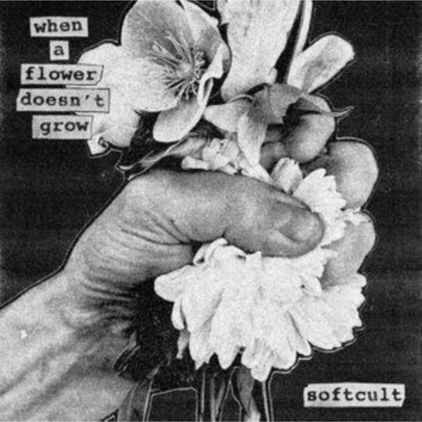 When A Flower Doesn't Grow