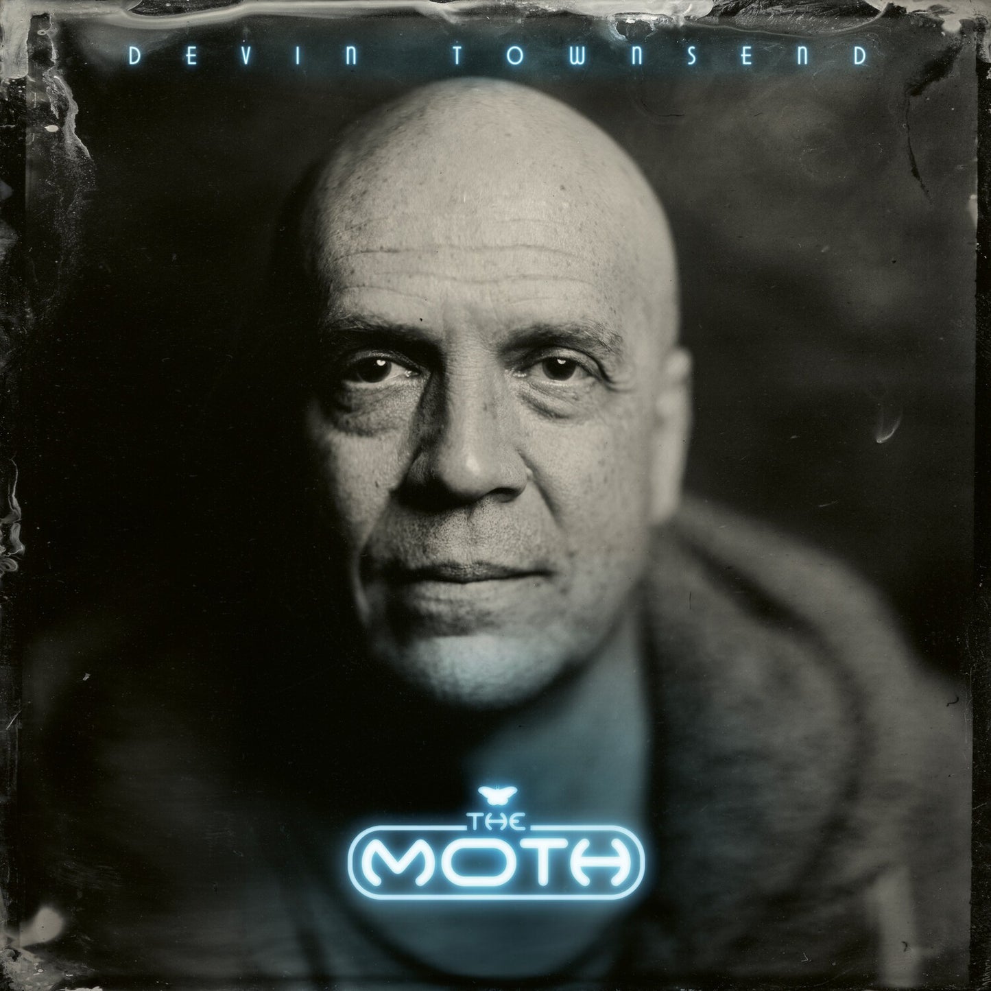 Moth