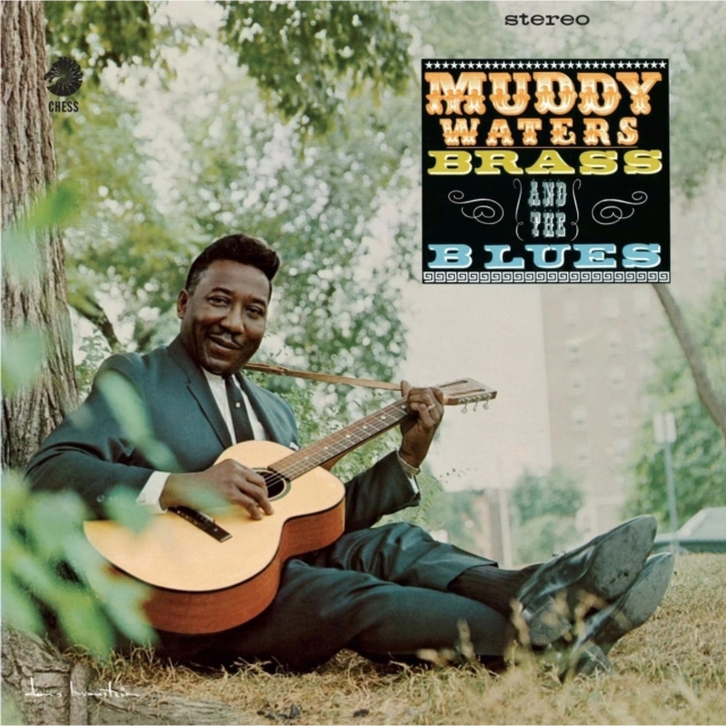 Muddy, Brass & The Blues (Chess Acoustic Sounds Series) (180G)