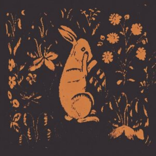 This LP Vinyl is brand new.Format: LP VinylThis item's title is: Rabbit AlbumArtist: SadnessBarcode: 301660562984Release Date: 10/20/2023