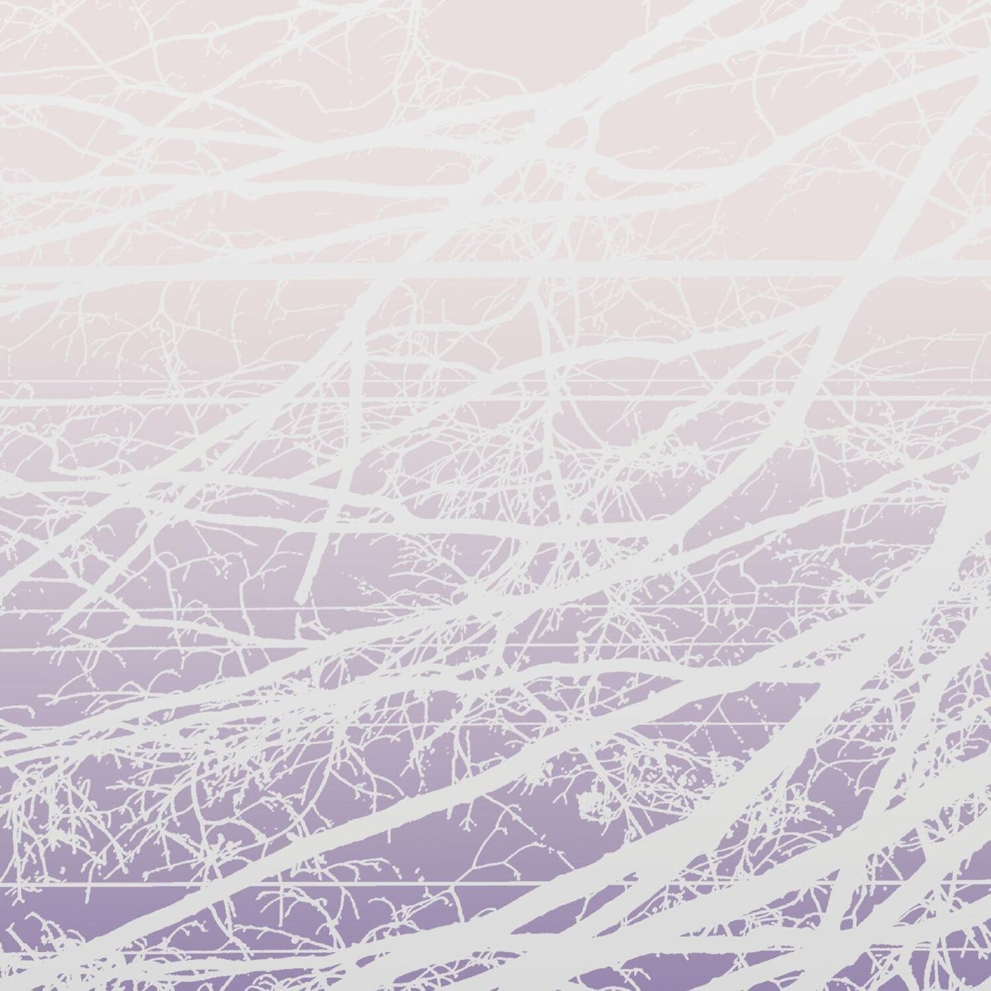 Metal Aether / Resonant Field (2LP)