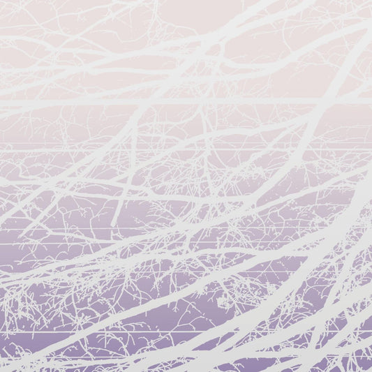 Metal Aether / Resonant Field (2LP)