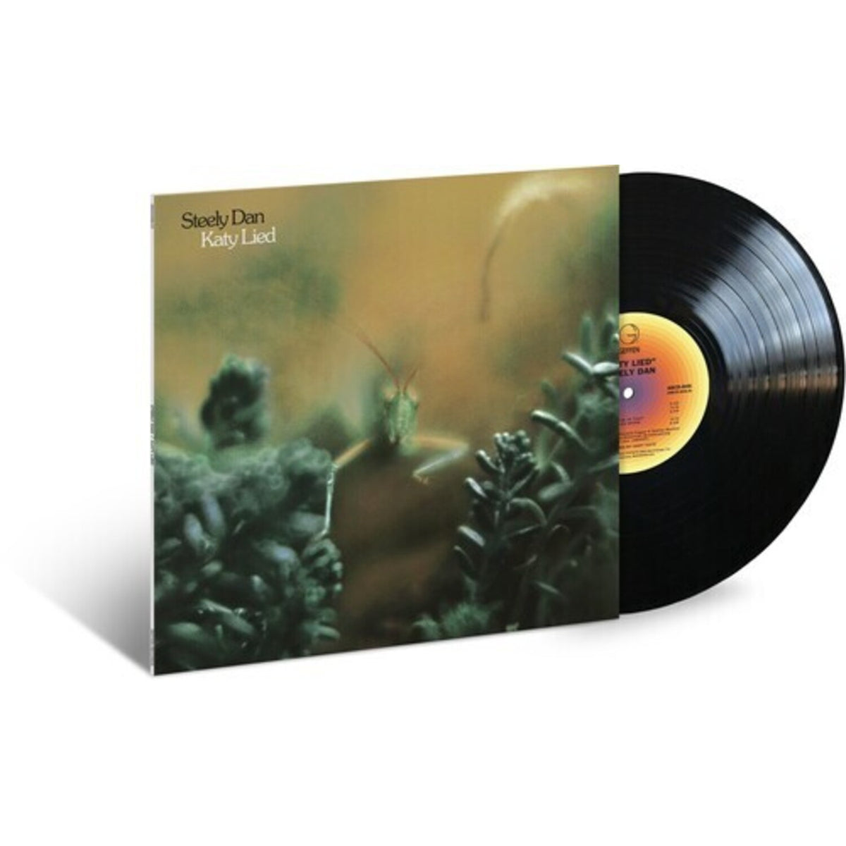 Aja & Katy Lied