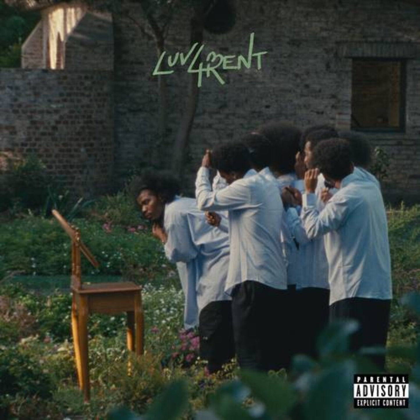 Luv 4 Rent (2LP)