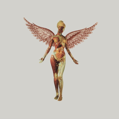 In Utero (30Th Anniversary) (8LP) & Nirvana (200G/45 RPM)