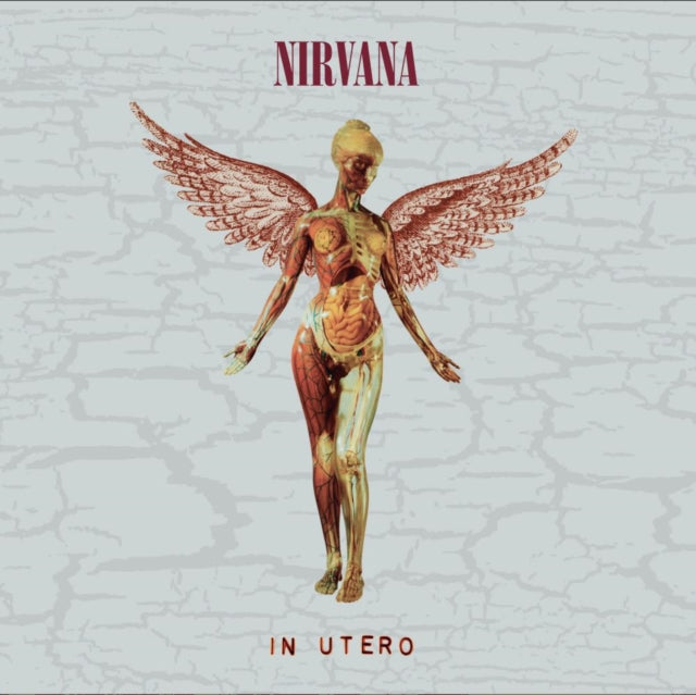 Nevermind (30Th Anniversary/Deluxe/2CD) & In Utero (30Th Anniversary) (2CD)