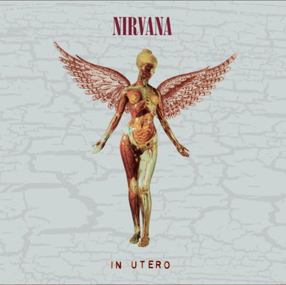 Nevermind (30Th Anniversary/Deluxe/2CD) & In Utero (30Th Anniversary) (2CD)