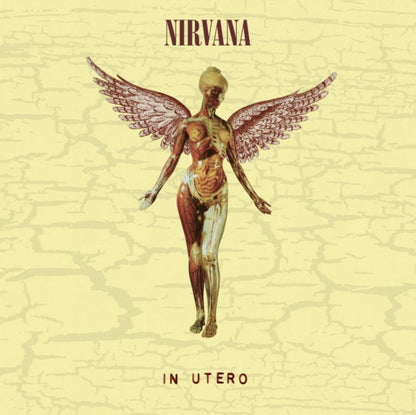 This is a 4 LP Vinyl SKU bundle.
1.This LP Vinyl is brand new.Format: LP VinylMusic Style: Alternative RockThis item's title is: Nevermind (30Th Anniversary/Super Deluxe/8LP/7Inch)Artist: NirvanaLabel: GEFFENBarcode: 602435979861Release Date: 5/27/2022
2.This LP Vinyl is brand new.